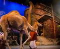 Noah The Musical at Sight & Sound Theatres Branson Photo
