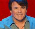 The Glen Campbell Songbook Photo