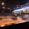 Arena with Buffalo in It
