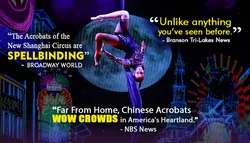 Popular Cirque & Acrobat Shows