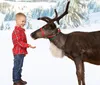 A child in winter clothing smiles while touching a reindeer as an individual dressed as Santa Claus stands beside them in a festive setting