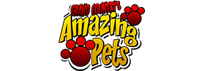 Amazing Pets 2019 Schedule