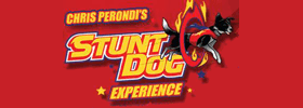 Chris Perondi's Stunt Dog Experience
