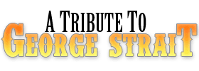 George Strait Tribute Dinner Show