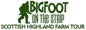 Scottish Highland Farm Tour
