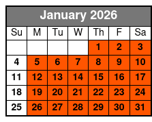 World's Largest Toy Museum Complex January Schedule