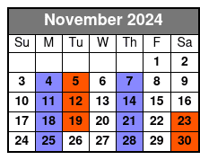 Dustin Tavella, Now I See November Schedule