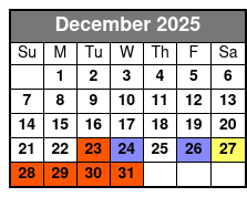 Branson Christmas Lights Trolley Tour December Schedule