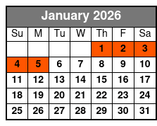 Branson Christmas Lights Trolley Tour January Schedule