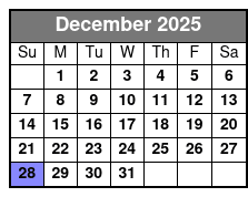 Taylor Swift Tribute VIP Seating December Schedule