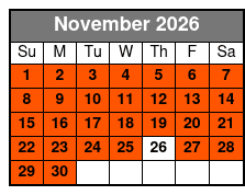 Christmas Light Bus Tour November Schedule