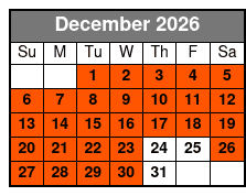 Christmas Light Bus Tour December Schedule