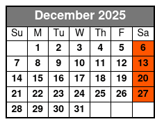 Solid Walls of Sound December Schedule