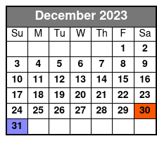 Parakeet Pete’s Waterfront Zipline & Balloon Combo Pass December Schedule