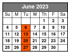 Elvis Live by Jerry Presley - Madison Square Garden Show June Schedule