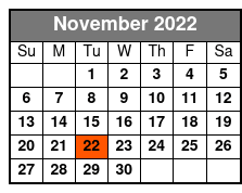 Elvis Live by Jerry Presley - Elvis the Last Concert November Schedule