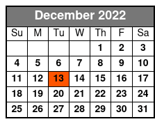 Elvis Live by Jerry Presley - Elvis the Last Concert December Schedule