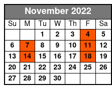 Chicago Color My World Tribute November Schedule
