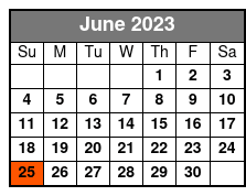 Rocketman Elton John Tribute June Schedule
