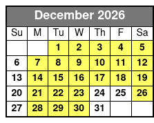 Discover Branson Luxury Mercedes Van Tour December Schedule