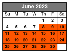 Beyond the Lens Branson June Schedule