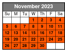 Beyond the Lens Branson November Schedule