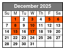 Escape Reality Magic & Illusions Christmas Dinner Show (Dinner Included) December Schedule