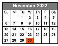 Vigilante Extreme Ziprider November Schedule