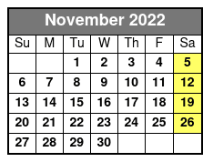 ReVibe Show Only November Schedule