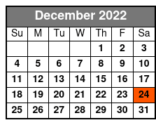 ReVibe Show Only December Schedule