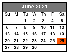ReVibe Dinner Show June Schedule