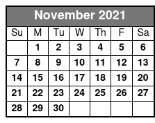 ReVibe Dinner Show November Schedule