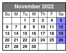 ReVibe Dinner Show November Schedule