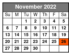 ReVibe Dinner Show November Schedule