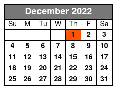 Disney Princess: The Concert Tier One Seating December Schedule