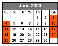 Rocketman Elton John Tribute June Schedule