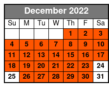Branson Christmas Light Tour December Schedule