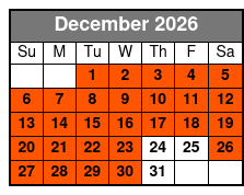 Christmas Light Tour December Schedule