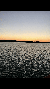 Sunset On Board the Showboat Branson Belle Lunch and Dinner Cruises