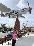 P51 near Hamners' Unbelievable Family Variety Show