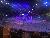 Horses Performing at Dolly Parton's Stampede Dinner and Show Branson