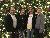 Group Pic at the Miracle of Christmas at Sight and Sound Theatres Branson