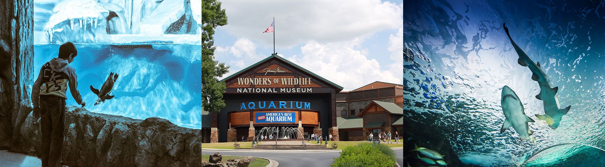 Wonders of Wildlife