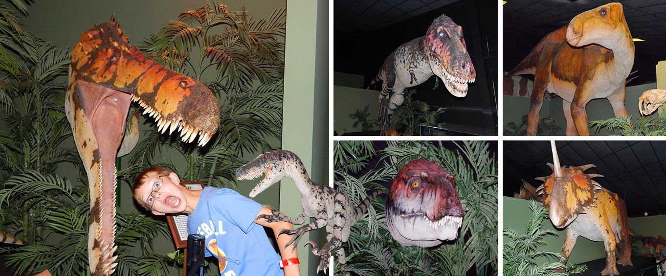 Buy Dinosaur Museum Tickets