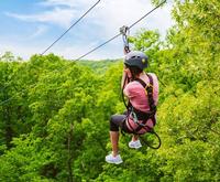 Experience New Heights at Branson Zipline and Canopy Tours