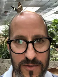 Butterfly on a Mans Head at the Butterfly Palace and Rainforest Adventure