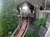 Wildfire Roller Coaster at Silver Dollar City Branson.