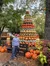 Pumpkin Decor