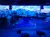 Arena