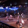 Arena with Horses